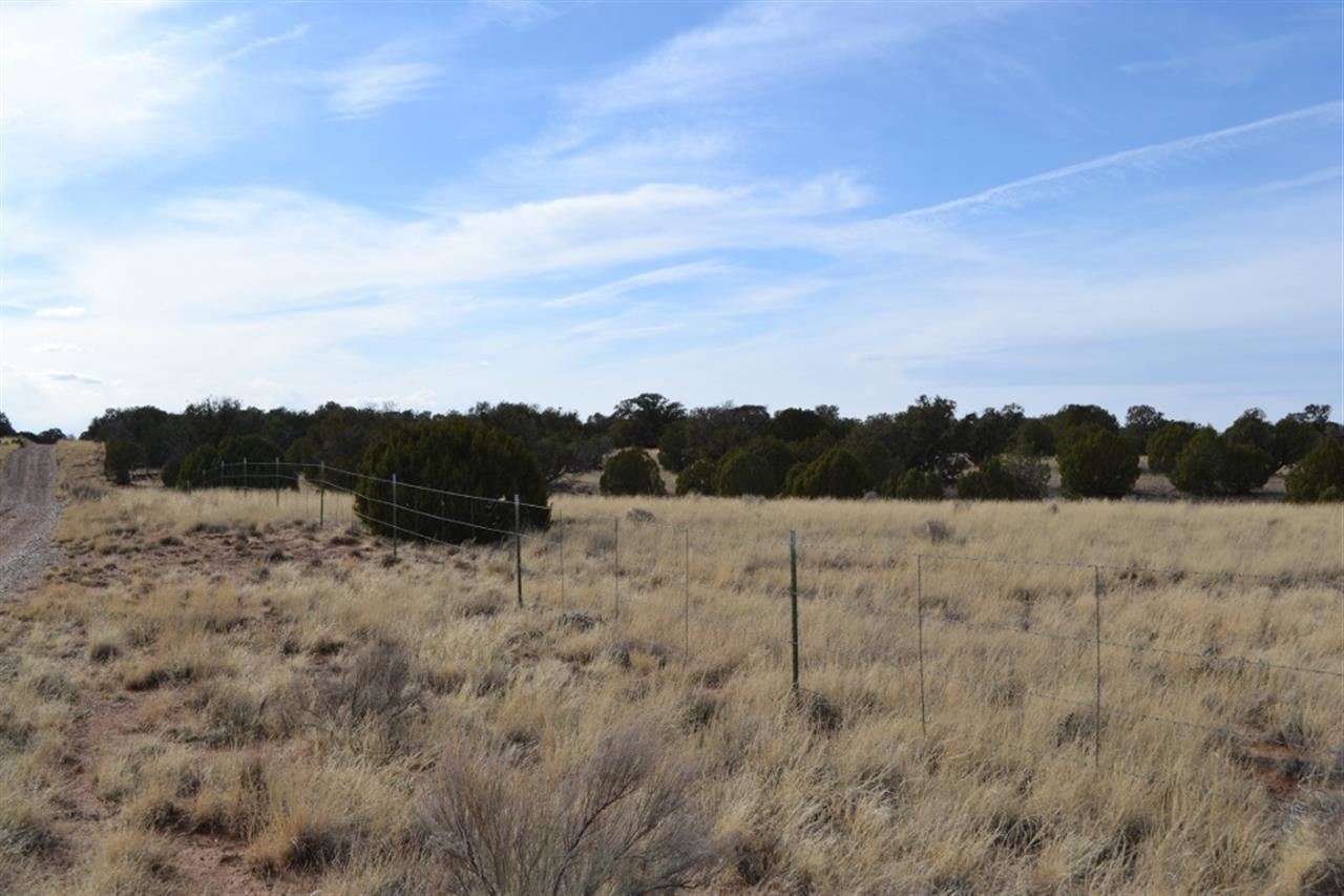 200 Old Hunt Road Snowflake, AZ 85937 - Photo 30 of 36