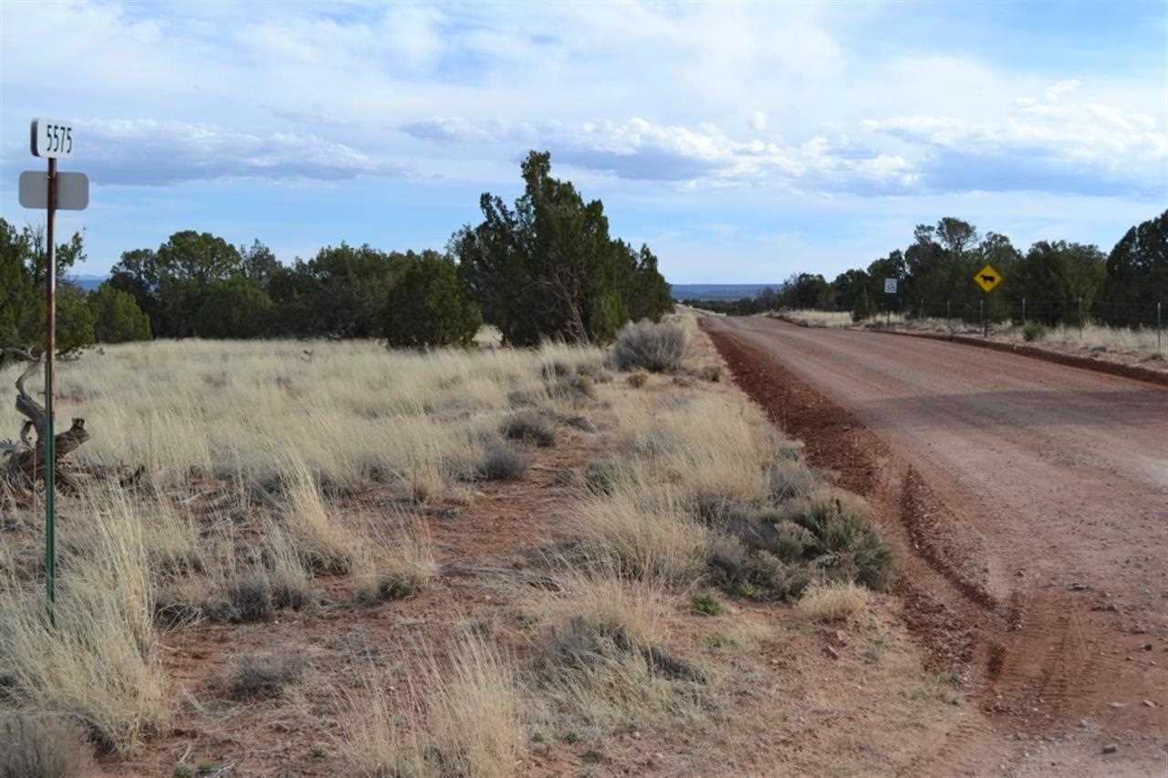 200 Old Hunt Road Snowflake, AZ 85937 - Photo 34 of 36
