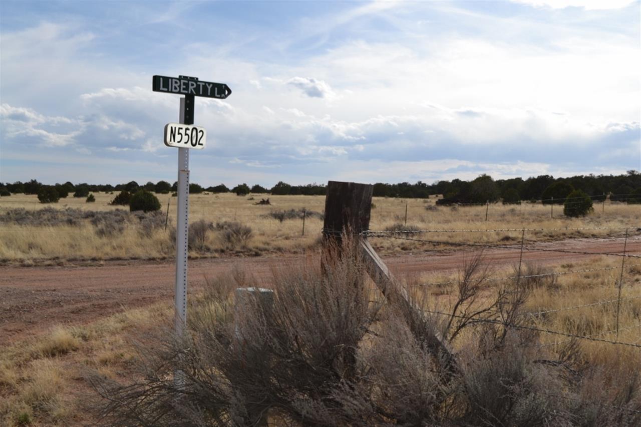 200 Old Hunt Road Snowflake, AZ 85937 - Photo 35 of 36