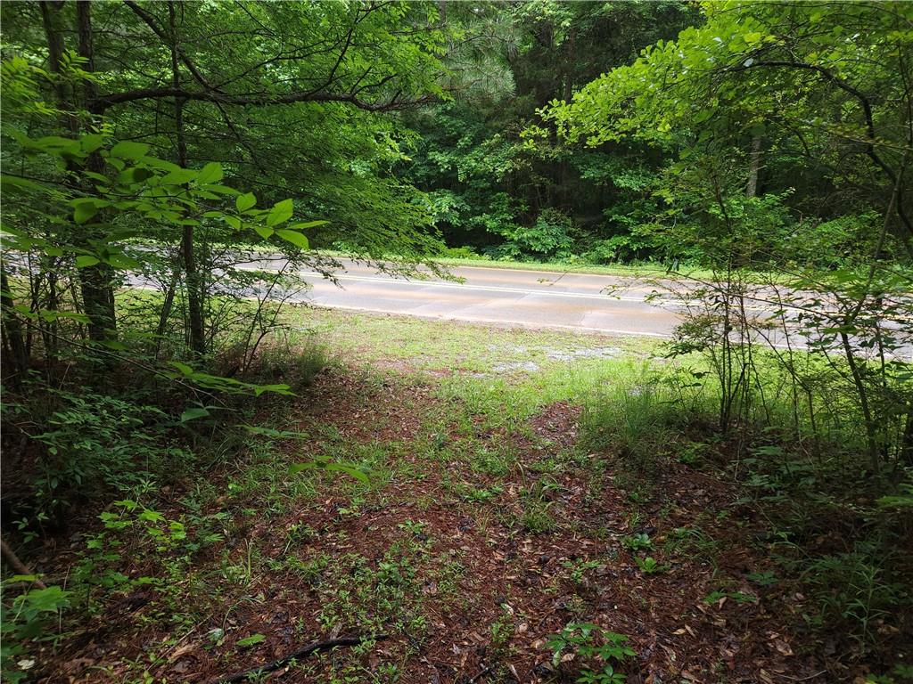 0 Potash Road Cedartown, GA 30125 - Photo 8 of 15