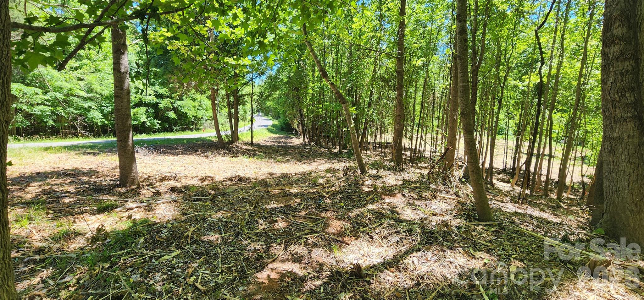 480 Brown Road Spartanburg, SC 29302 - Photo 25 of 47 a view of a yard with plants and trees