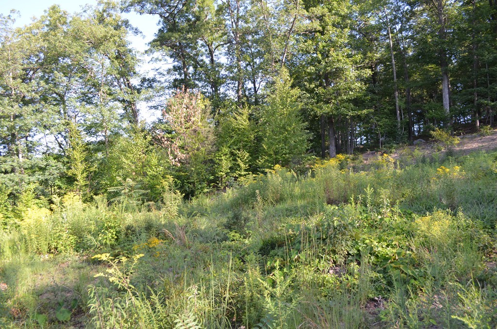 Lot 6 Bradway Road Monson, MA 01057 - Photo 8 of 11 Gallery Image 8