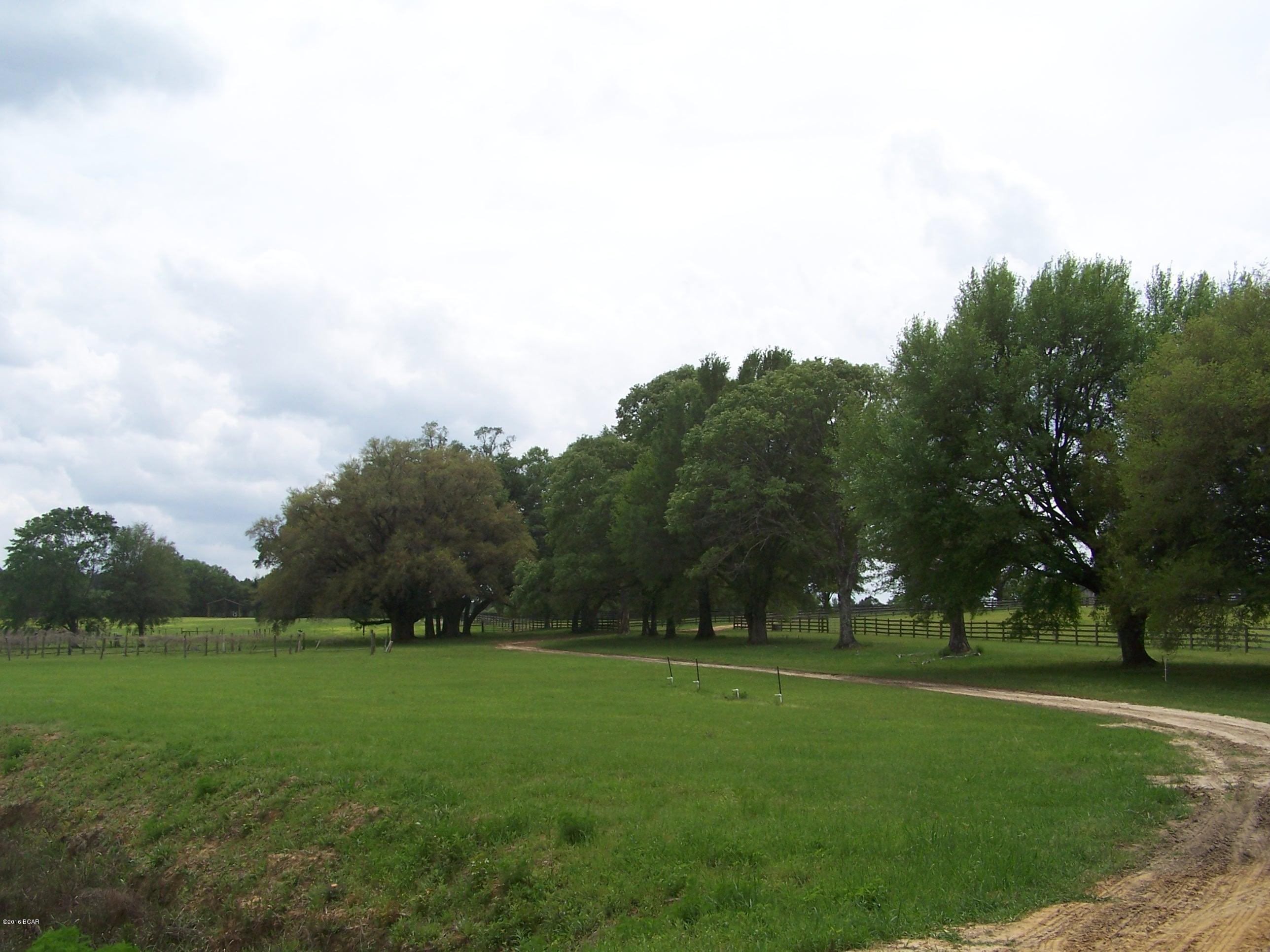 1059 Wilcox Crossing Road Bonifay, FL 32425 - Photo 40 of 70 Gallery Image 40