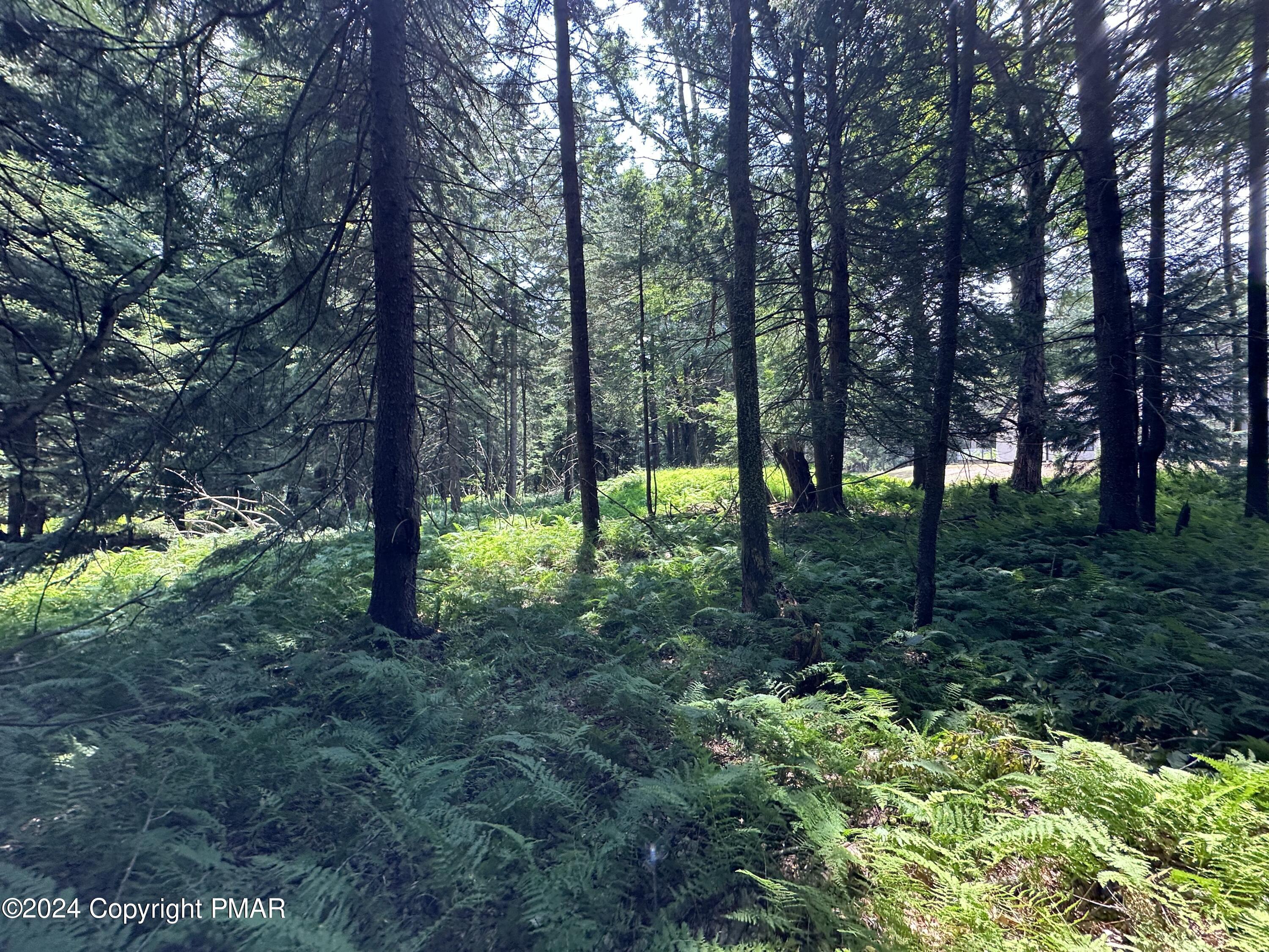 1127 Sawmill Road Pocono Lake, PA 18347 - Photo 1 of 8 a view of outdoor space and trees