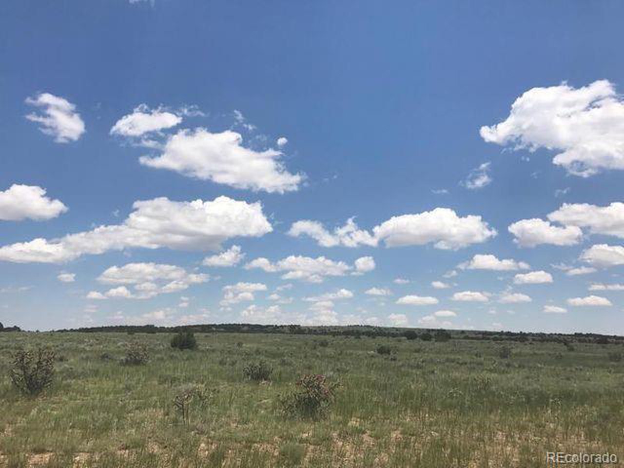 66 Turkey Ridge Road Walsenburg, CO 81089 - Photo 5 of 9