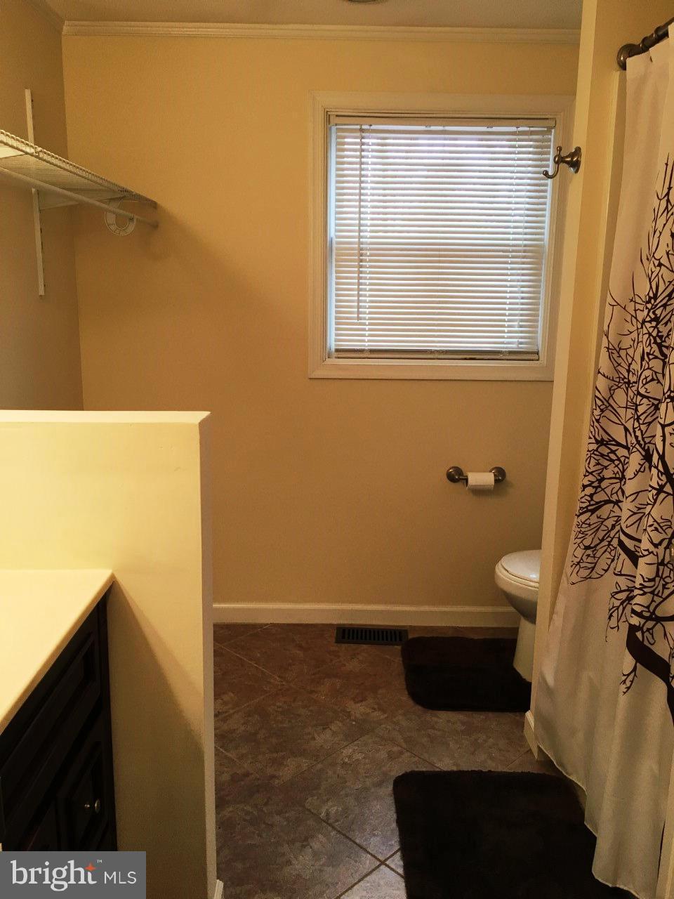 24 Cemetery Road North East, MD 21901 - Photo 11 of 12 Spare Bath