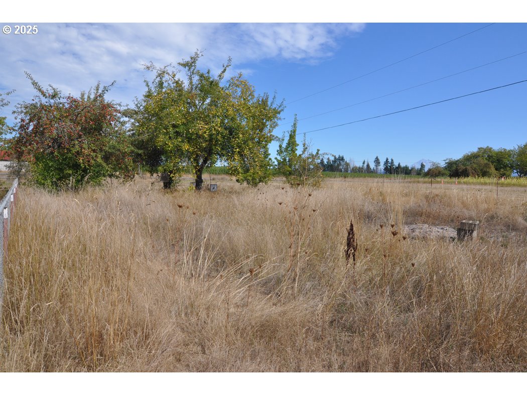 18385 South Springwater Road Estacada, OR 97023 - Photo 9 of 22 a view of lake and mountain