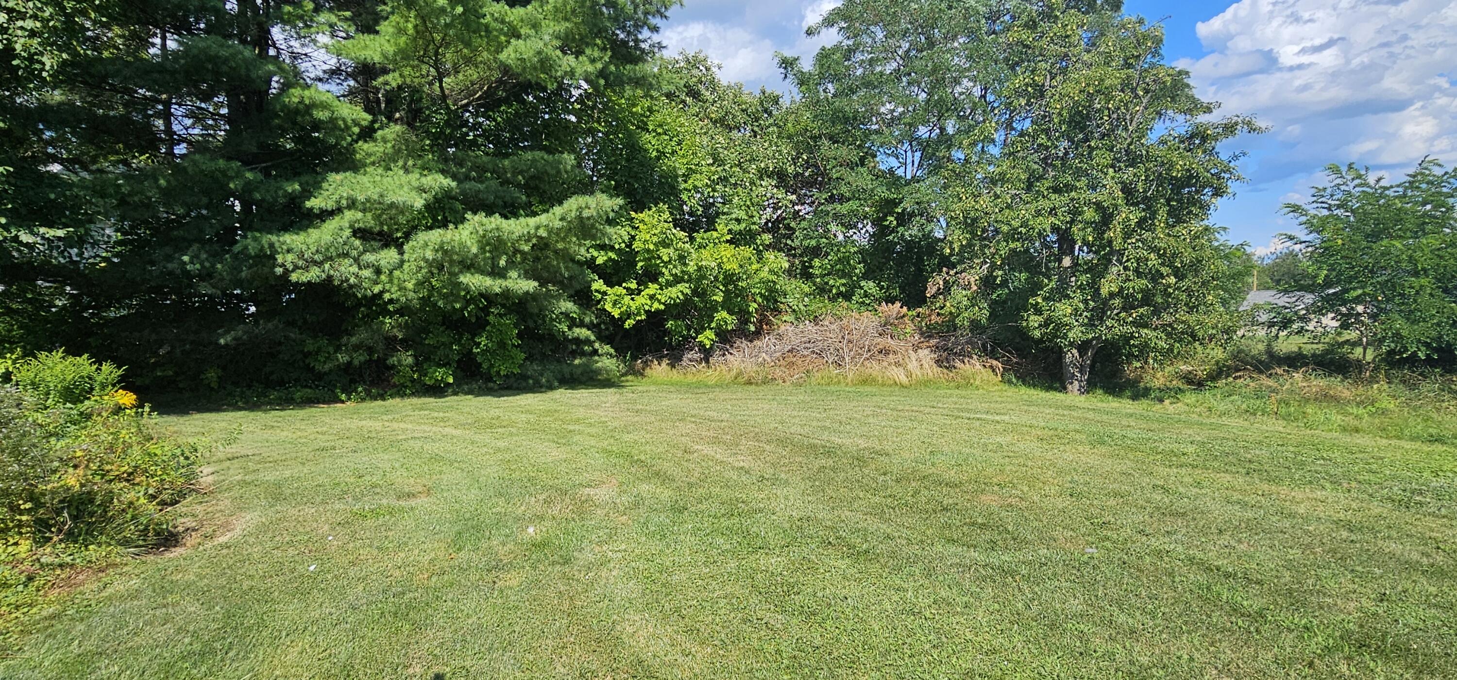 02. Backyard