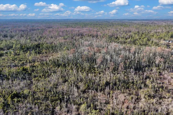 $540,000 | 8412 Southwest Tower Road, Madison, FL 32340