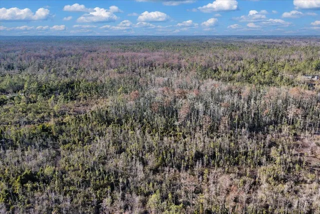 $540,000 | 8412 Southwest Tower Road, Madison, FL 32340