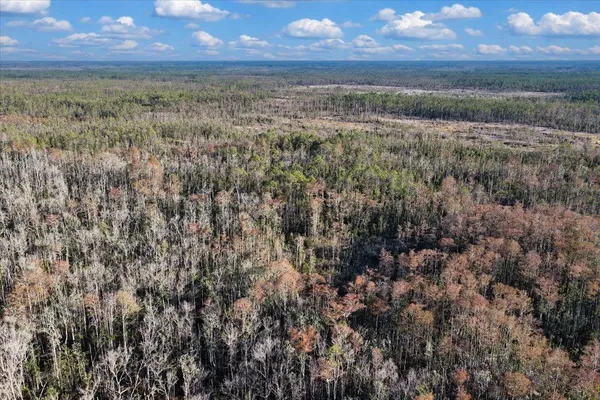 $540,000 | 8412 Southwest Tower Road, Madison, FL 32340