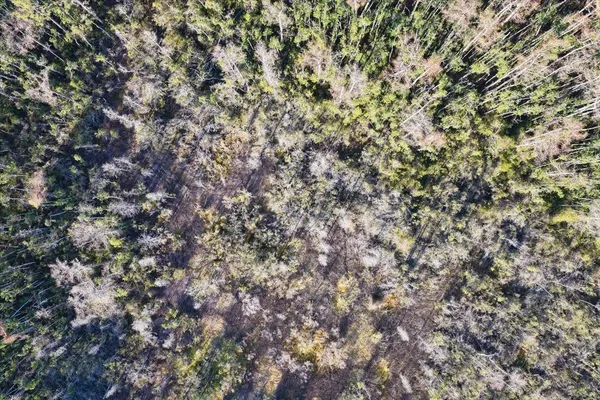 $540,000 | 8412 Southwest Tower Road, Madison, FL 32340