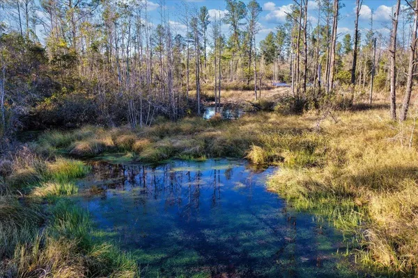 $540,000 | 8412 Southwest Tower Road, Madison, FL 32340