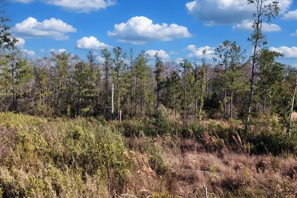 $540,000 | 8412 Southwest Tower Road, Madison, FL 32340