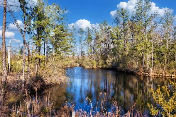 $540,000 | 8412 Southwest Tower Road, Madison, FL 32340