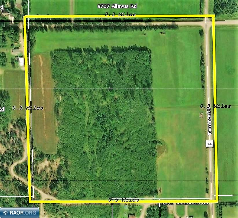 Tbd Tbd Tamminen & Allavus Roads Mountain Iron, MN 55768 - Photo 4 of 5