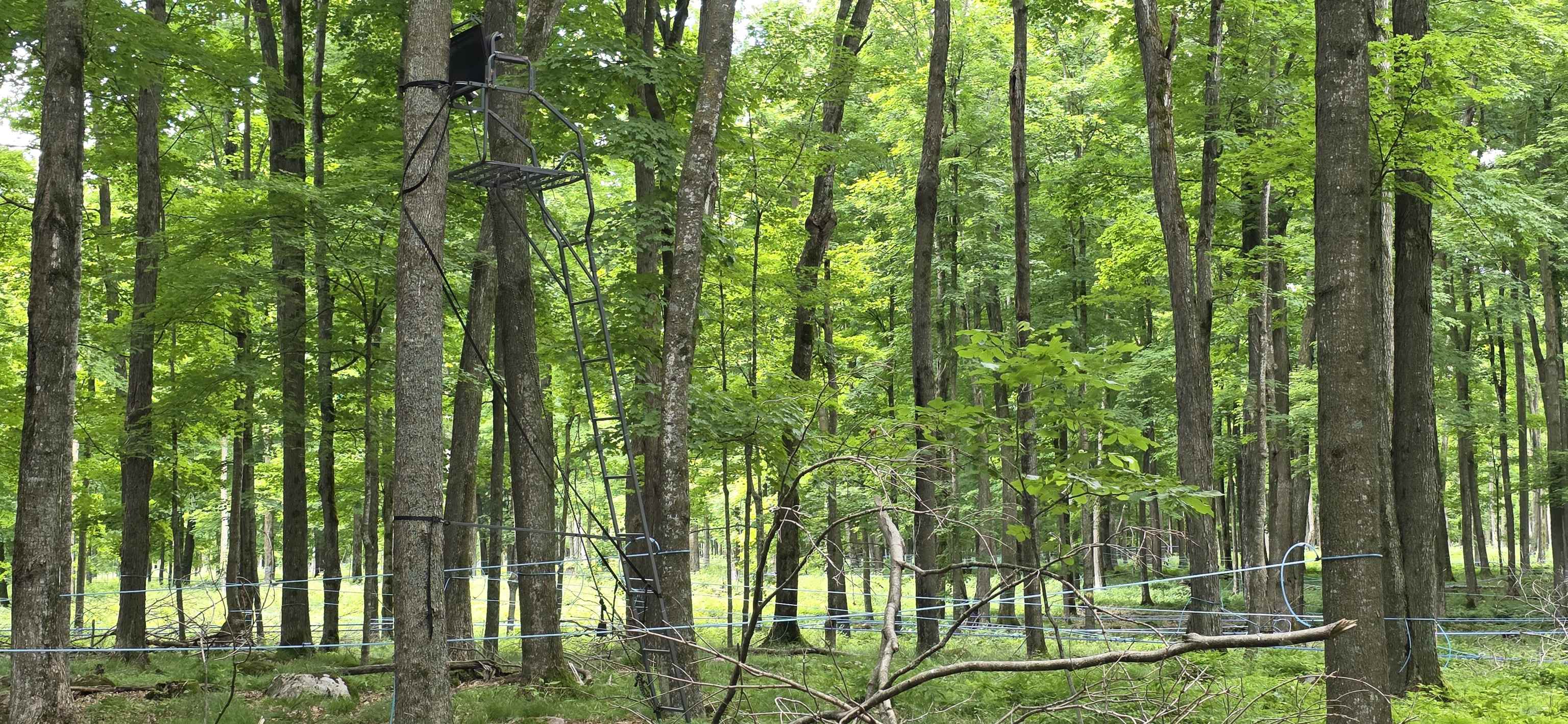 Springbrook Road Tigerton, WI 54486 - Photo 43 of 56