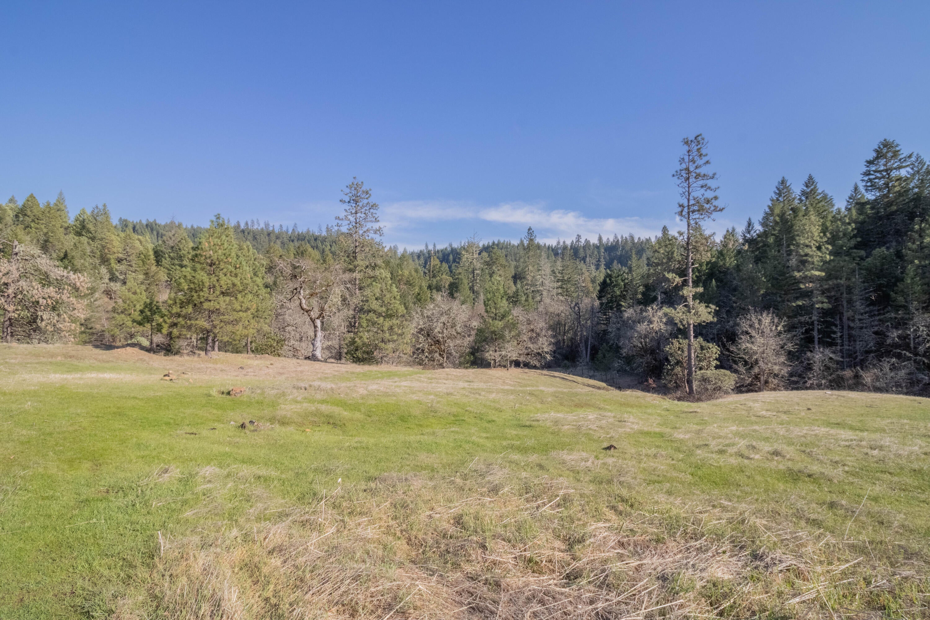 647 Gold Canyon Road Selma, OR 97538 - Photo 13 of 18 13