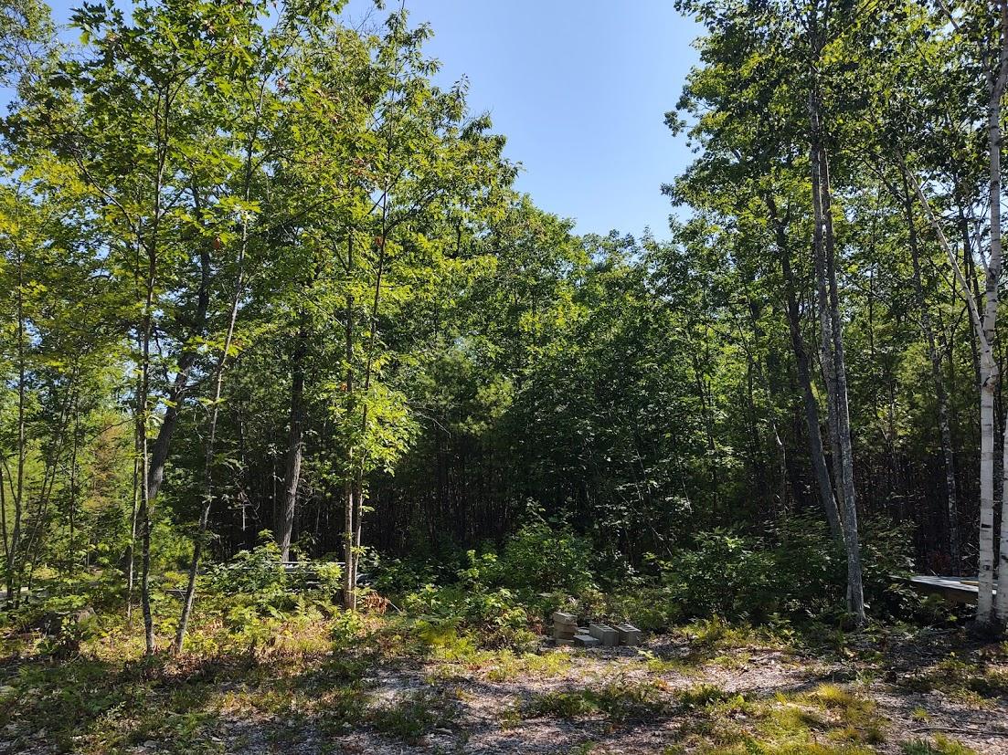 0 Stone Post Road Shapleigh, ME 04076 - Photo 6 of 13 berg 34 stone post land pic 5