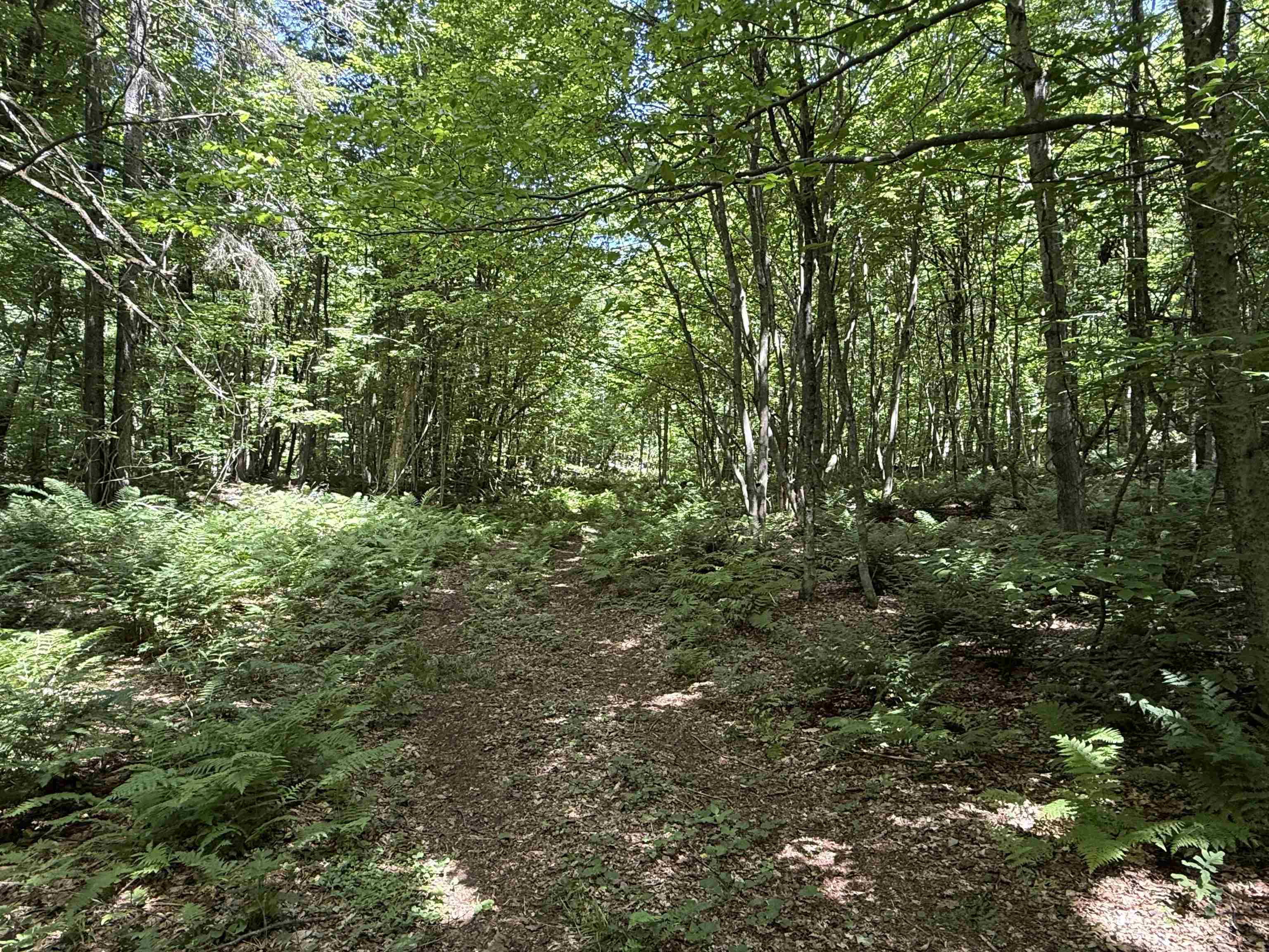 392 Sicard Road Randolph, VT 05060 - Photo 42 of 45