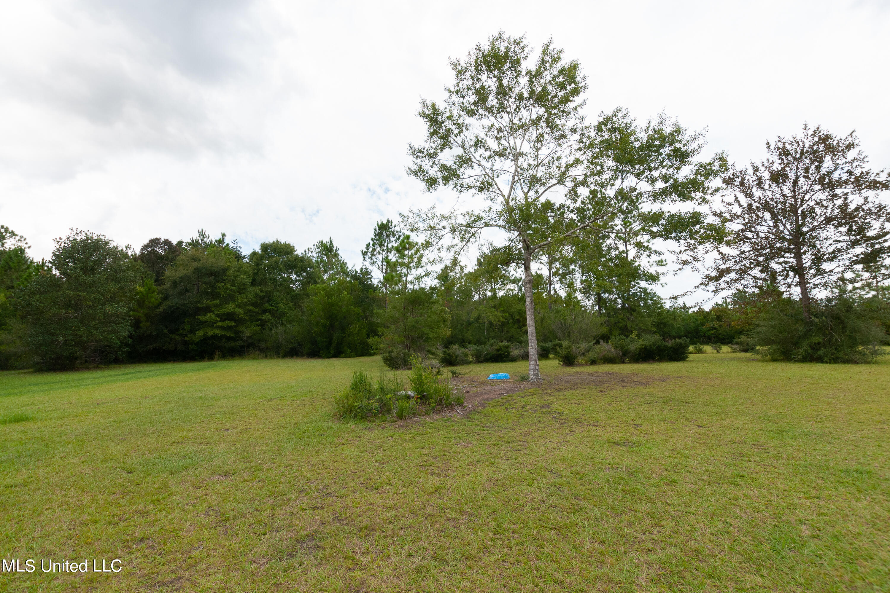 7932 Section Road Lucedale, MS 39452 - Photo 1 of 13 DSC_0028