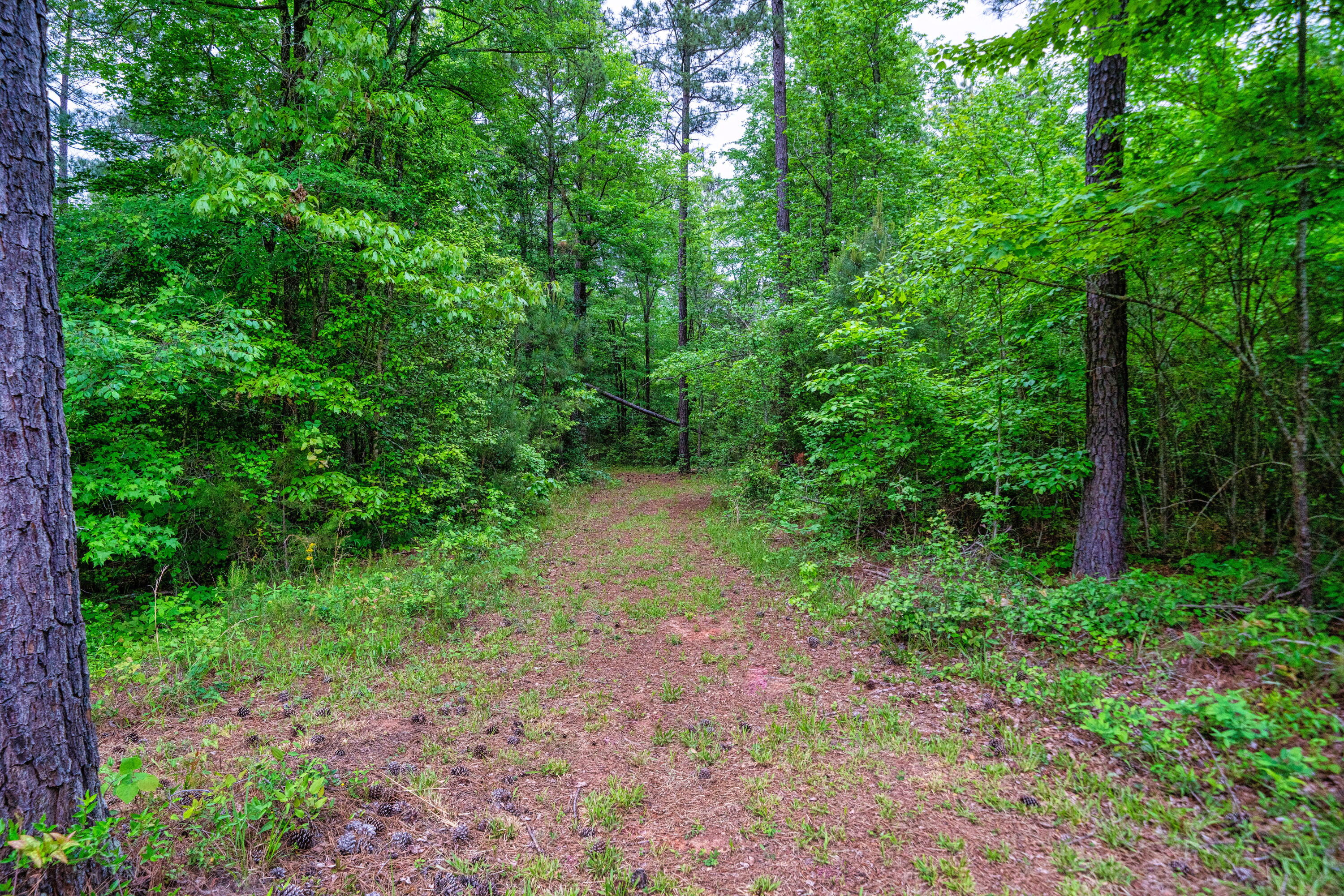 32 Sprouse Road Clarks Hill, SC 29821 - Photo 40 of 49 040-original-photo