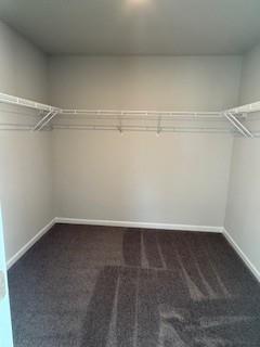 202 Wildflower Circle Calhoun, GA 30701 - Photo 32 of 41 a view of a room with shelf on the wall