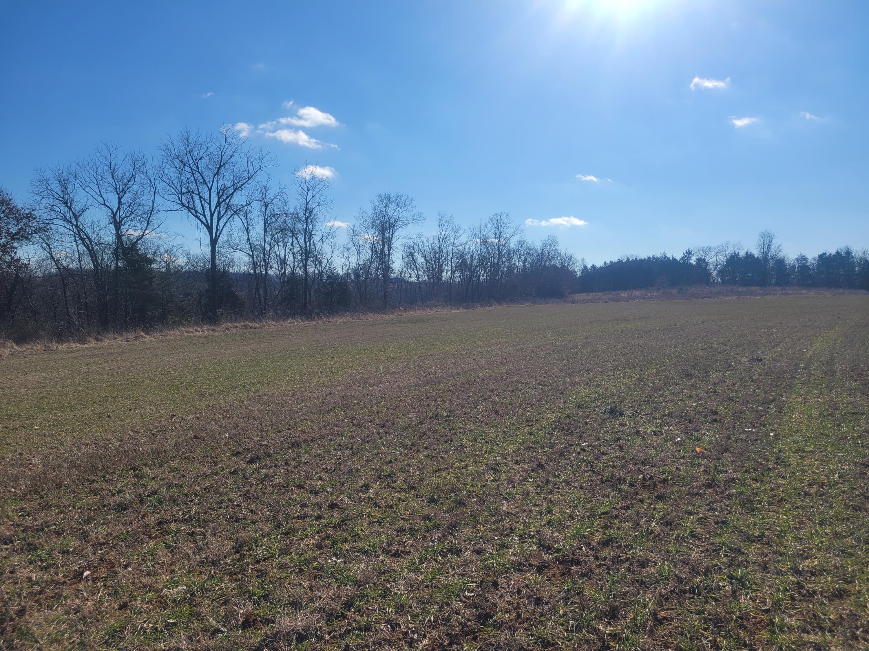 0 Hickory Flats Road Ava, MO 65608 - Photo 6 of 46 20250123_103948