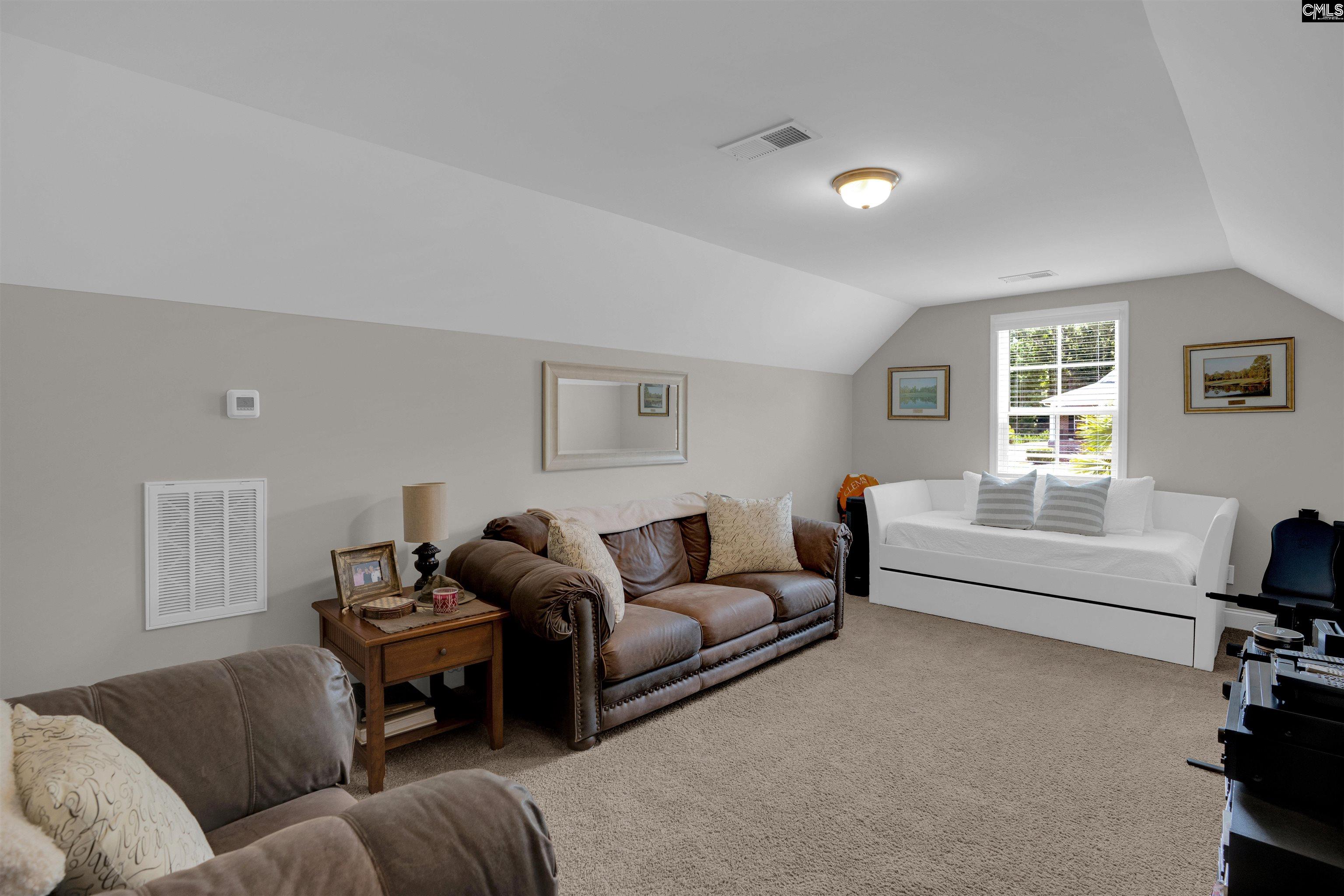 238 Hilton View Court Chapin, SC 29036 - Photo 36 of 63