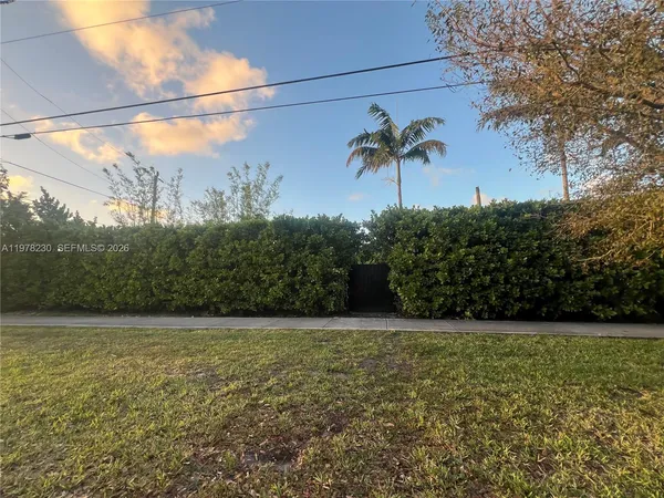 a view of a field with a tree