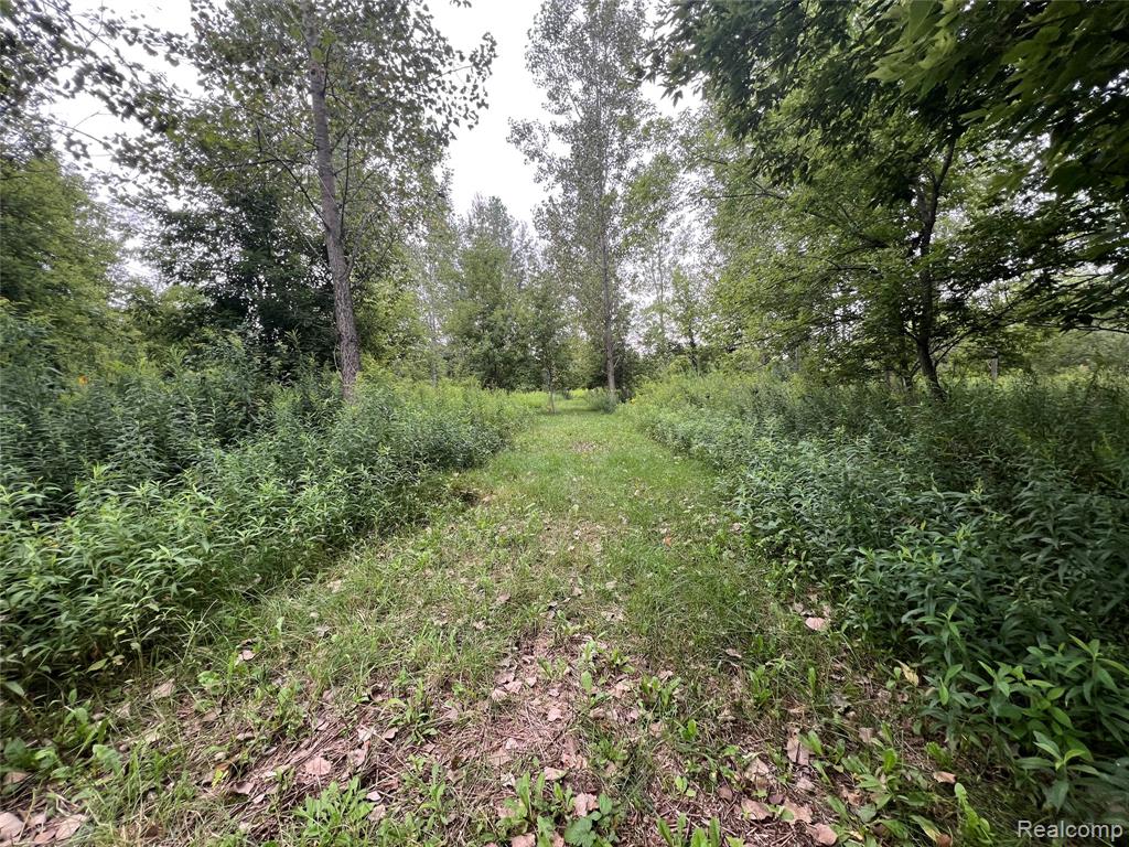 0 Barnes Road Mayville, MI 48435 - Photo 12 of 13 Gallery Image 12