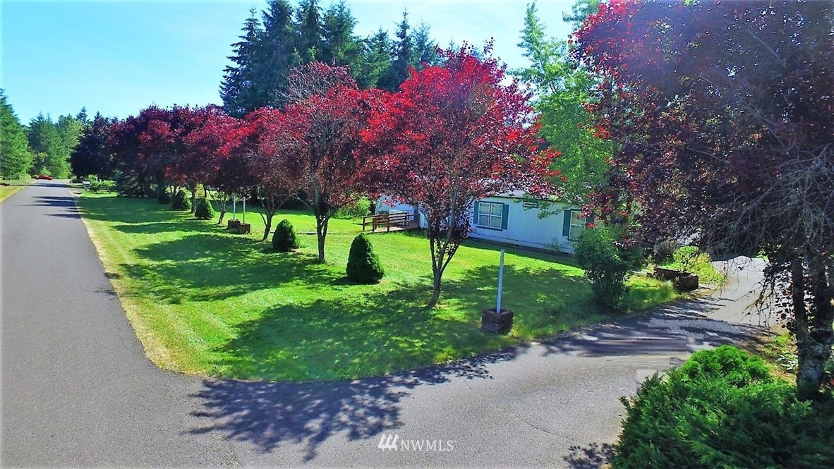 120 Bowers Road Chehalis, WA 98532 - Photo 3 of 31 a view of a park with large trees