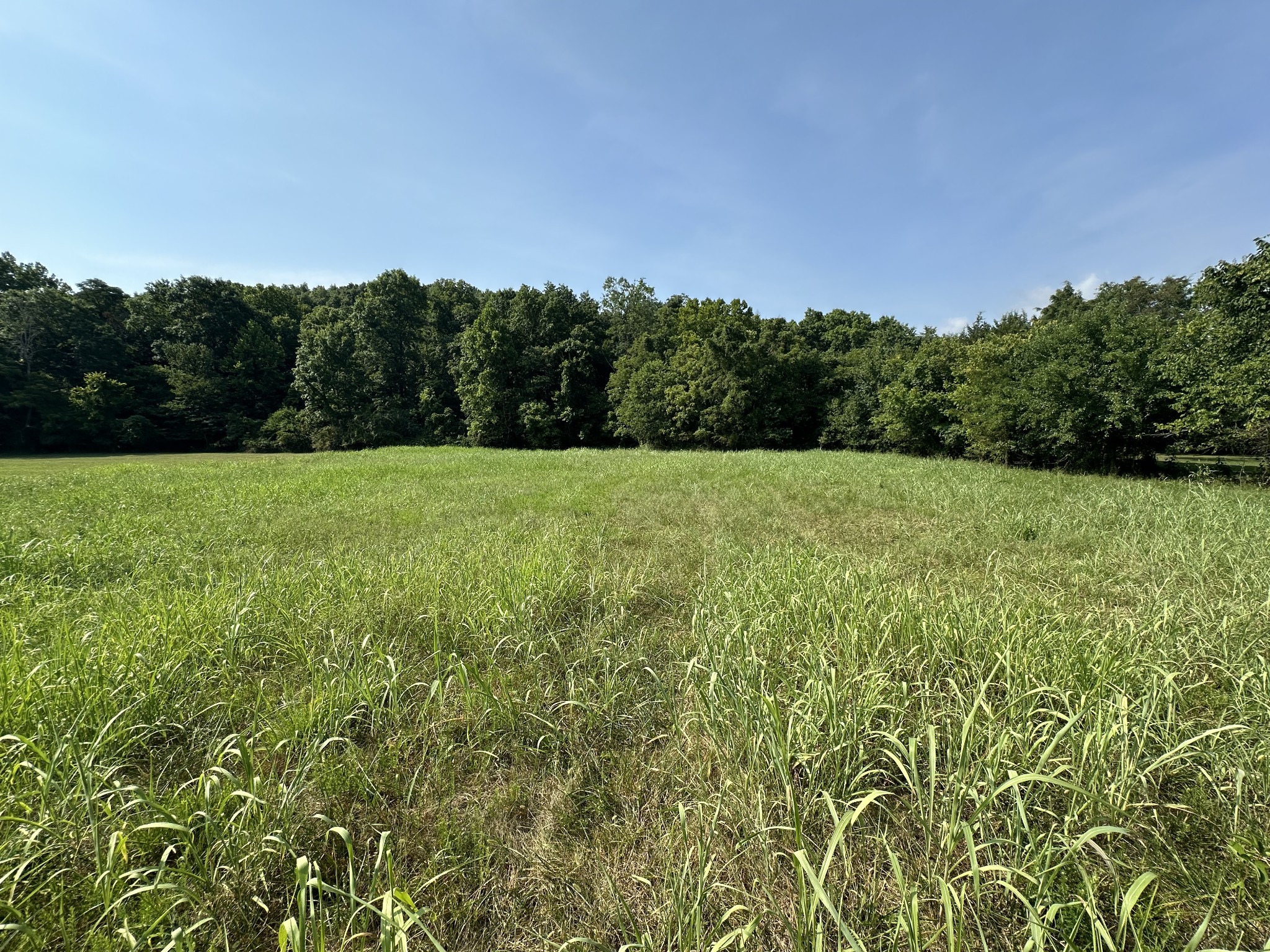 0 McClanahan Road Hartsville, TN 37074 - Photo 1 of 11 a view of an outdoor space and a yard