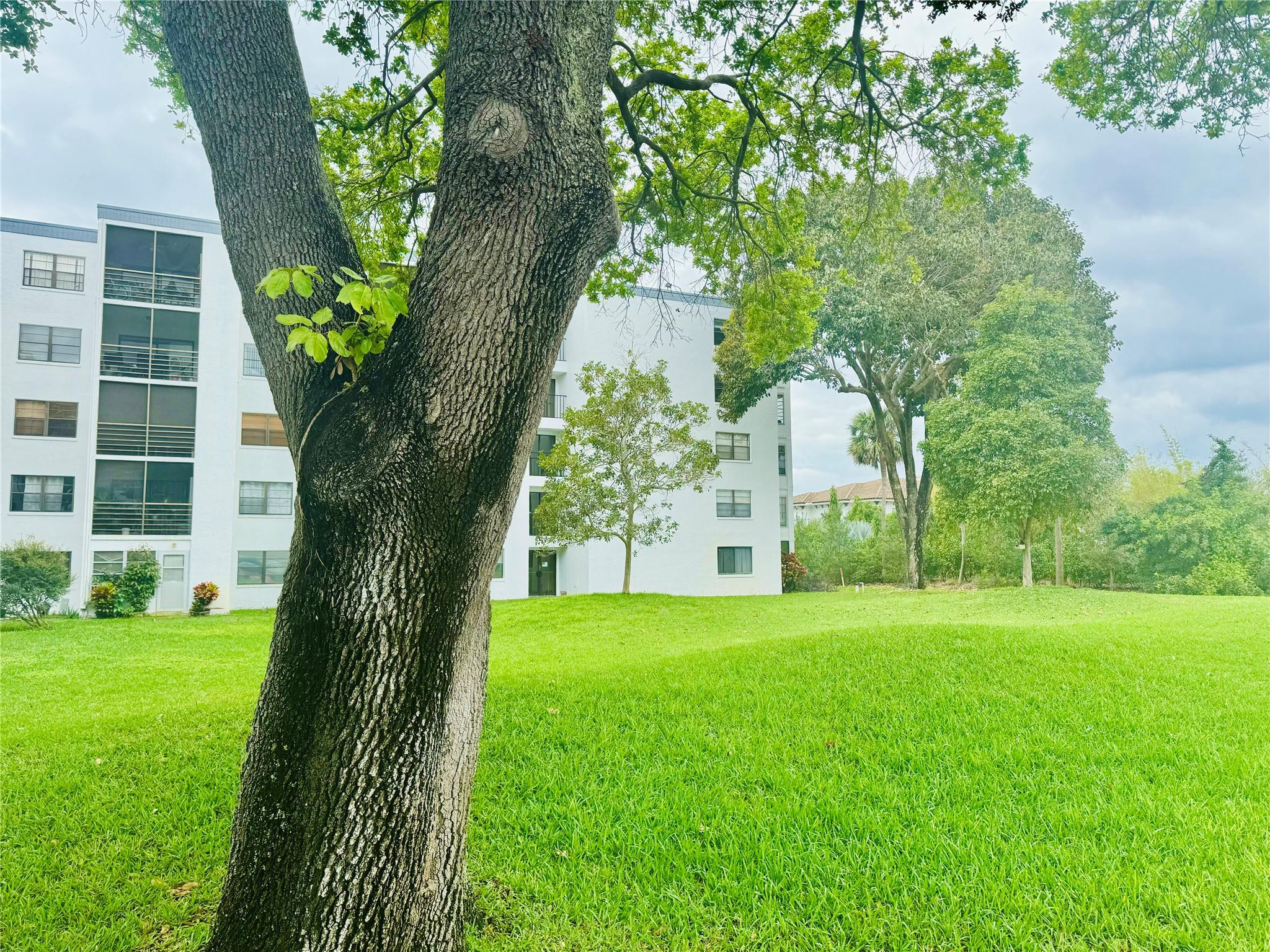 9235 Southwest 8th Street, Unit 207 Boca Raton, FL 33428 - Photo 12 of 24 a view of a trees in a yard with plants and a large trees