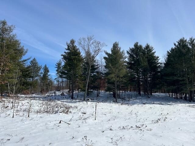 9 East 9 Mile Road Lakeview, MI 48850 - Photo 6 of 16