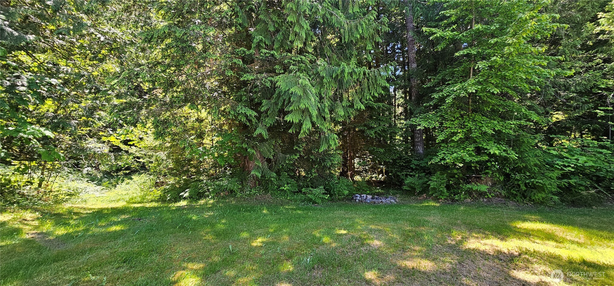 113 Skinner Road Randle, WA 98377 - Photo 13 of 25