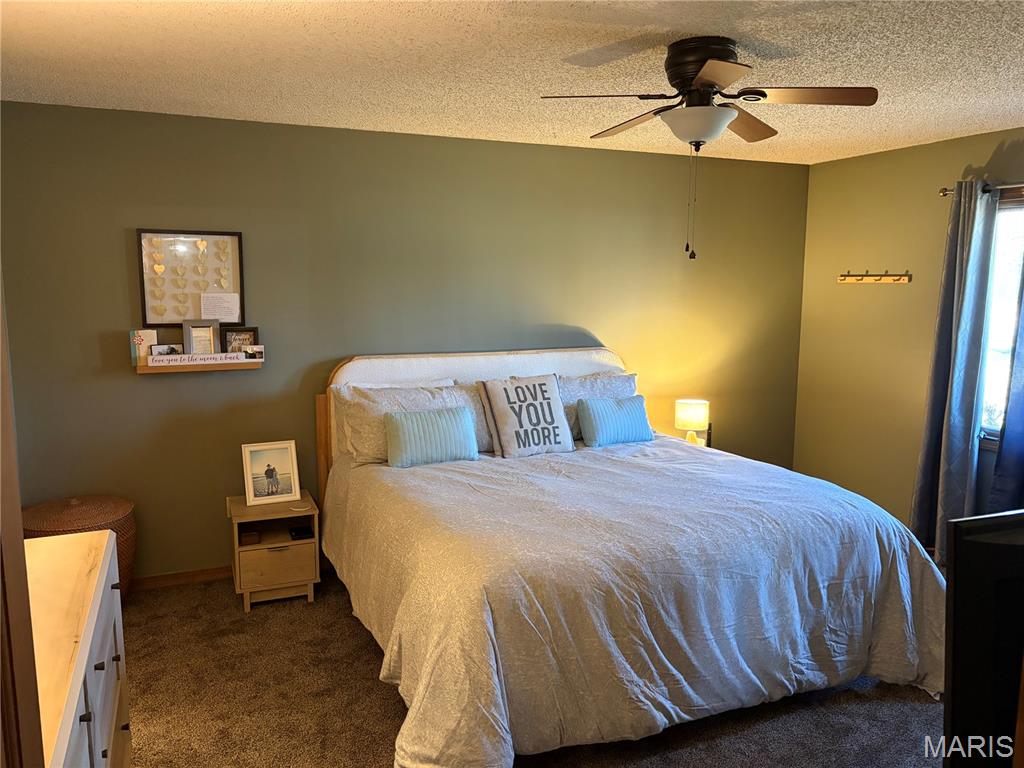 13915 Maple Lane Plato, MO 65552 - Photo 18 of 28