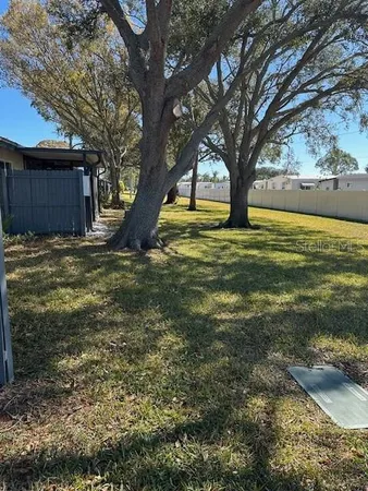 a view of a yard with a tree