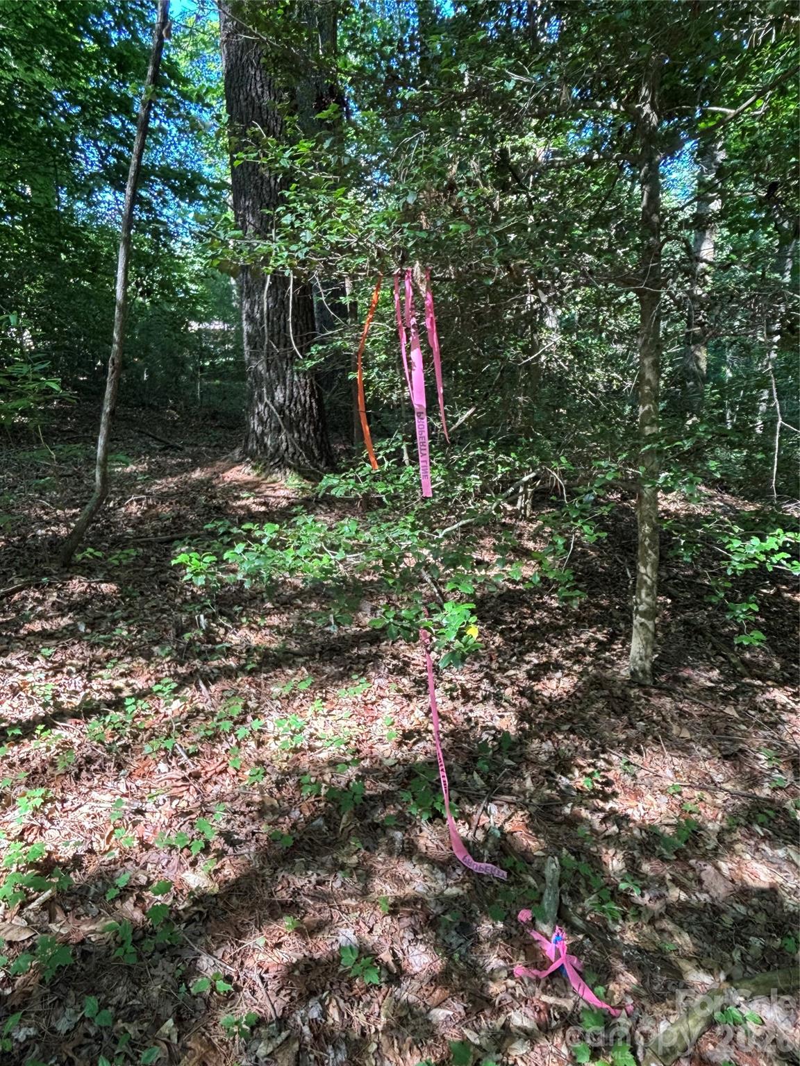 0 Stillwater Road Boomer, NC 28606 - Photo 21 of 33