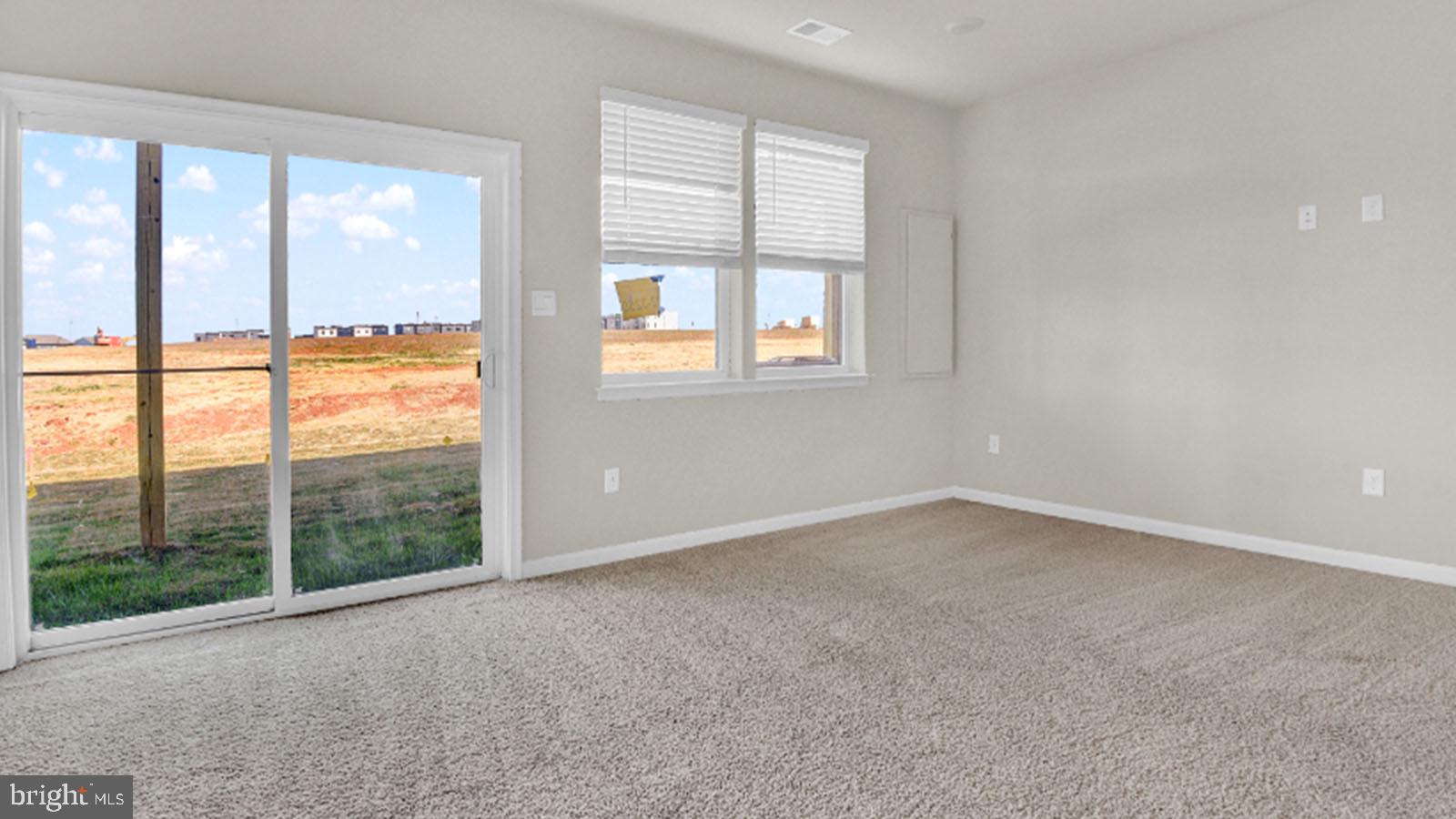 331 Ensemble Way Frederick, MD 21701 - Photo 3 of 27 Lower Level Rec Room