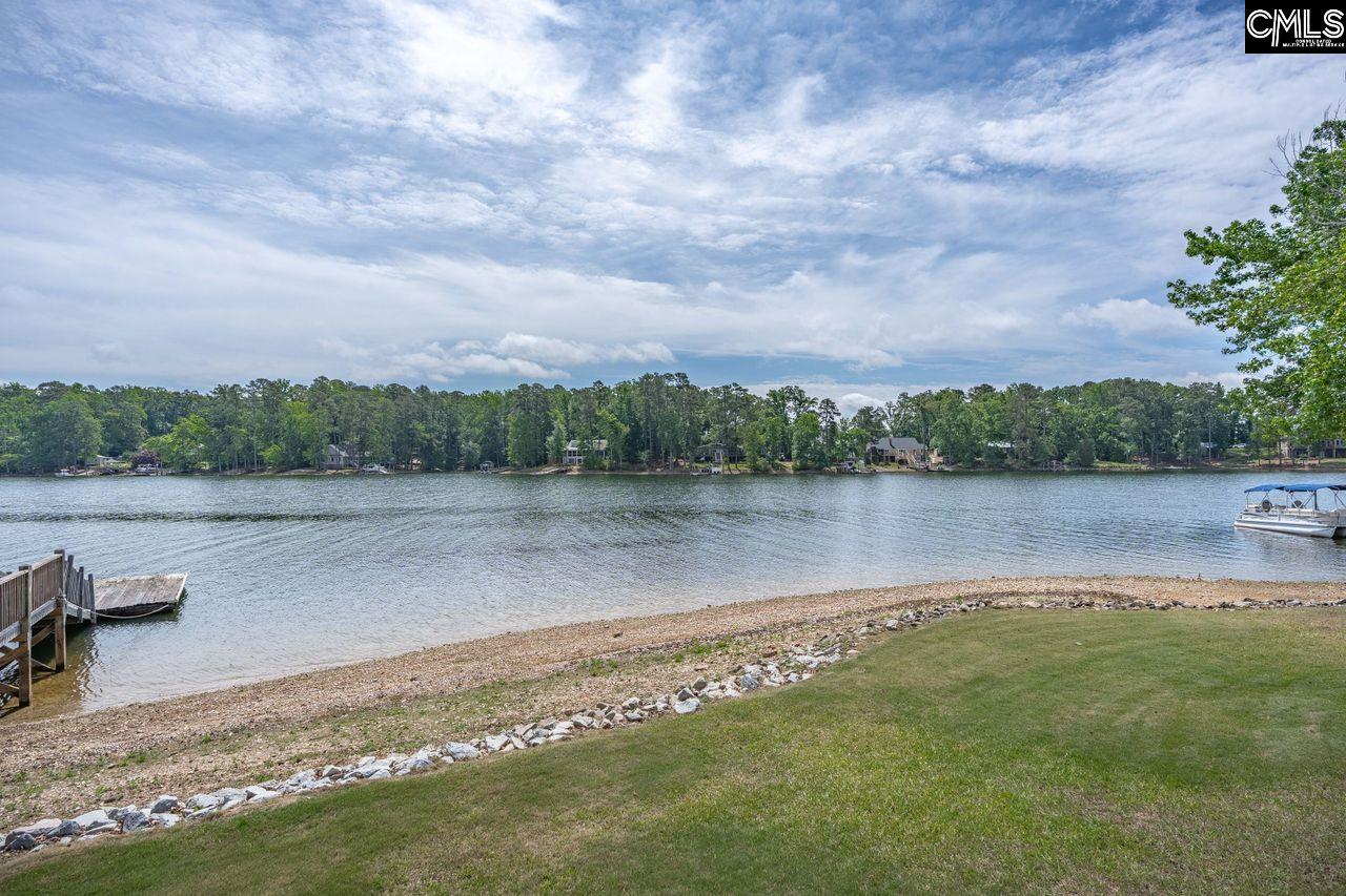 1137 Hilton Point Road Chapin, SC 29036 - Photo 5 of 24