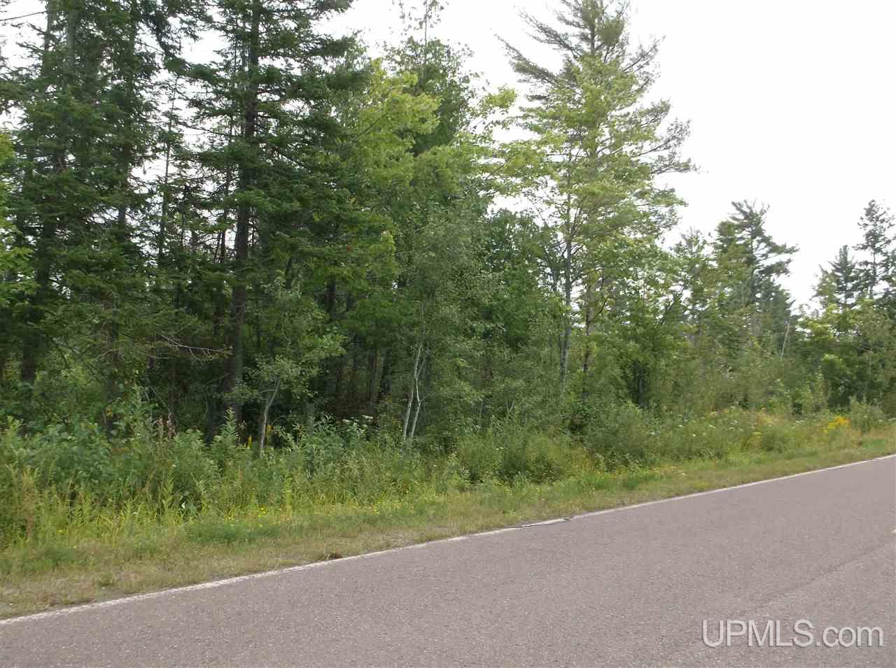 Tbd Jacobsville Road Lake Linden, MI 49945 - Photo 1 of 8