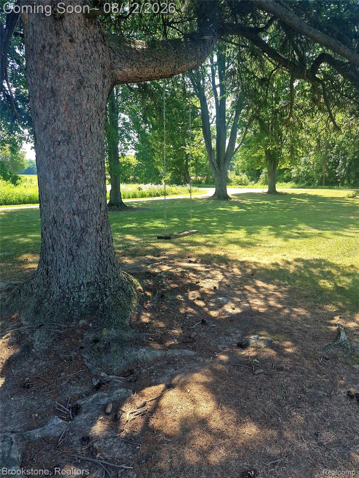 8426 Lake Pleasant Road Clifford, MI 48727 - Photo 19 of 33 Mature shade trees create a serene park-like setting with expansive lawn space
