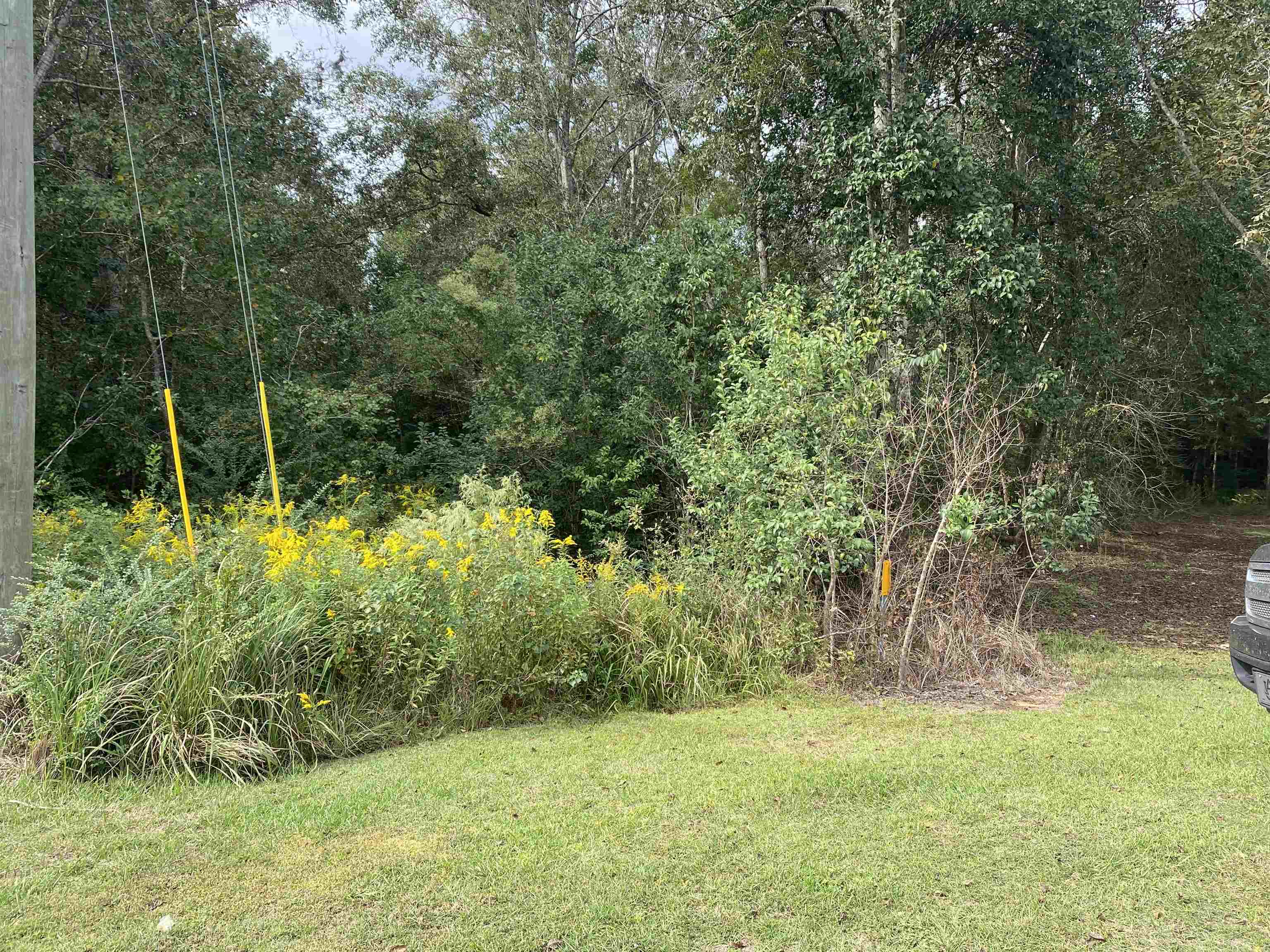 0 Dawson Road Loxley, AL 36551 - Photo 1 of 9