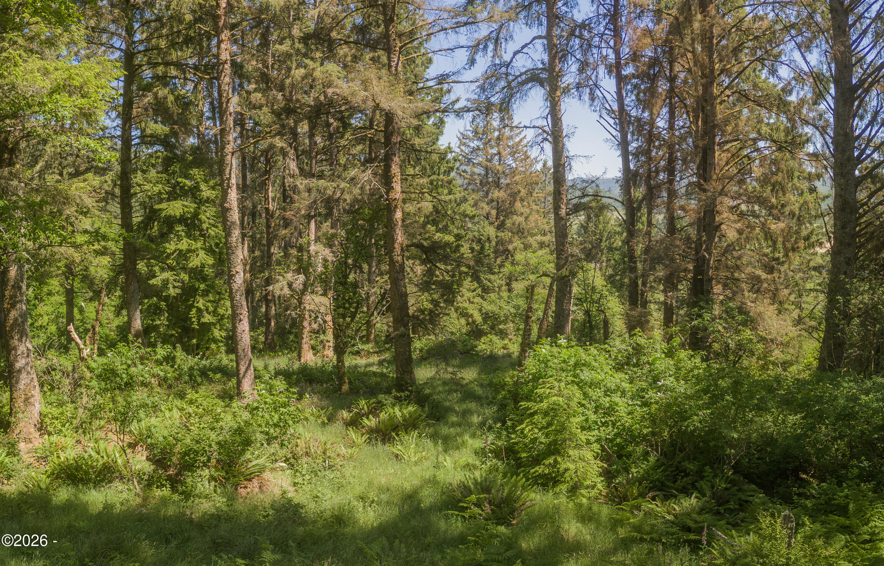 40195 Little Nestucca River Road Cloverdale, OR 97112 - Photo 77 of 80