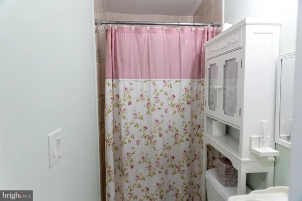a bathroom with a shower curtain and a sink