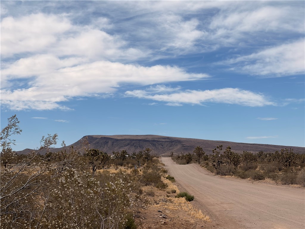 17773 Laurel Road Dolan Springs, AZ 86441 - Photo 4 of 9