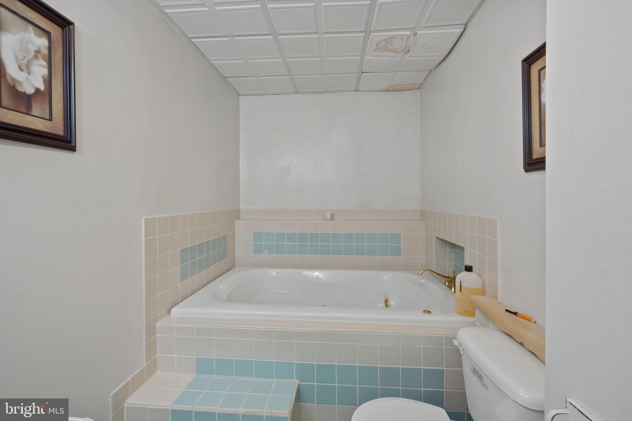 7113 Olivia Road Baltimore, MD 21220 - Photo 12 of 30 Soaking tub