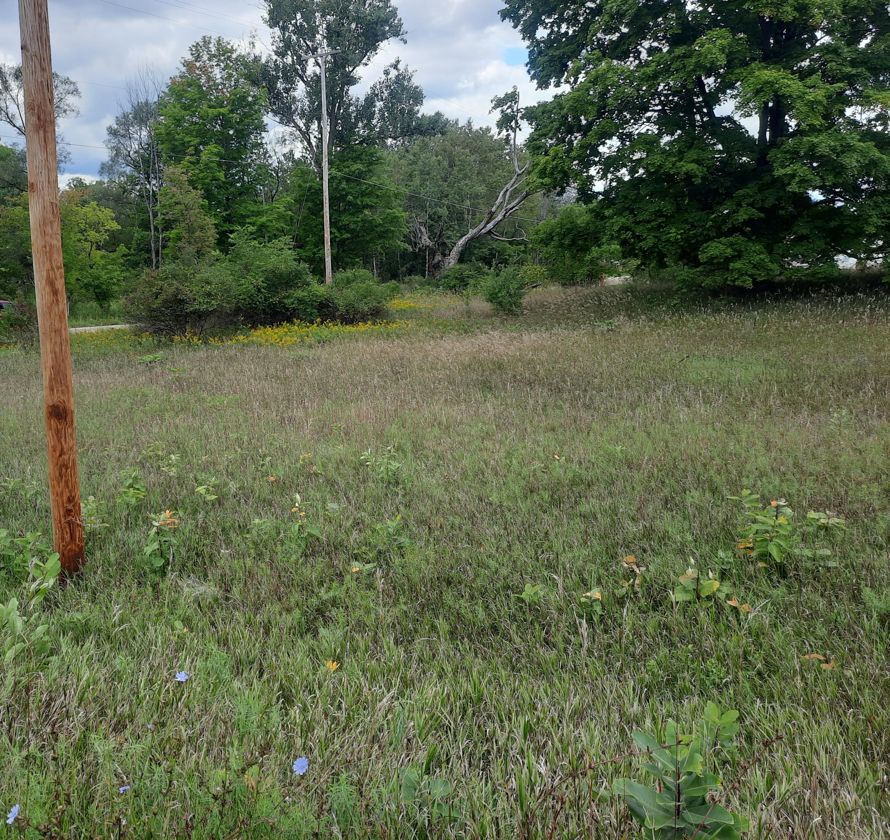 4595 210th Avenue Reed City, MI 49677 - Photo 4 of 4 20220912_145358
