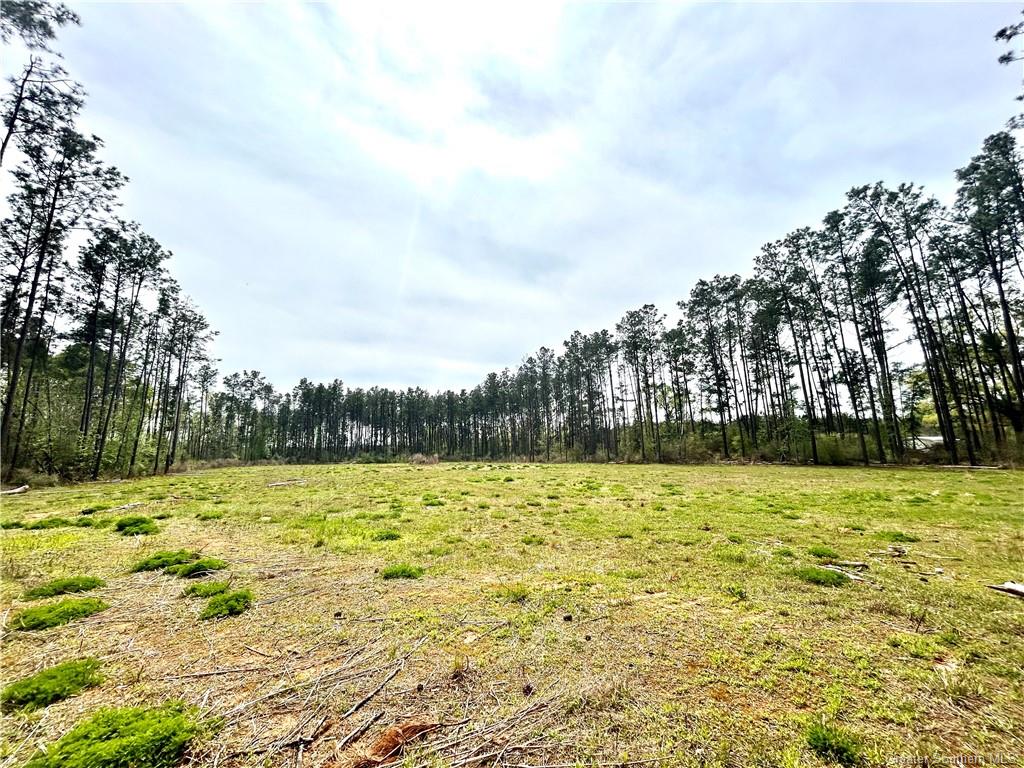 0 Fish Hole Loop Merryville, LA 70653 - Photo 1 of 7 Gallery Image 1